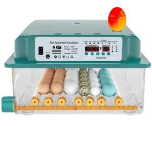 Incubadora Automática de 40 huevos